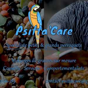 Psitta’Care, un responsable de refuge pour animaux à Saint-Nazaire