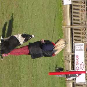 france, un comportementaliste canin à Nevers