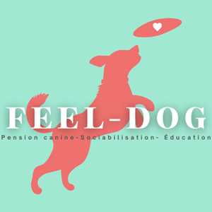 Feel-dog , un pet sitter à Lisieux