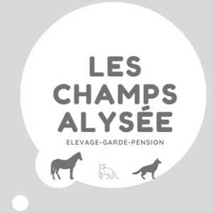 Les Champs Alysée, un amoureux des bêtes à Boulogne-sur-Mer