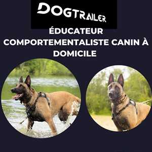 Mathieu, un comportementaliste canin à Sèvremoine