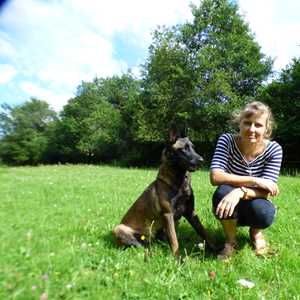 Entre chien et loup , un entraîneur de chiens à Haguenau