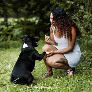 de LOR en pattes , un dresseur de chiens à Reims