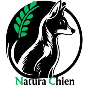 Natura Chien, un expert à Montpellier