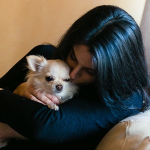 Animaux connectés : partenaire spécialisé en garde du0027animaux à Troyes