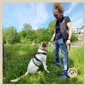 Le pied à la patte , un garde d’animaux à Saint-Chamond